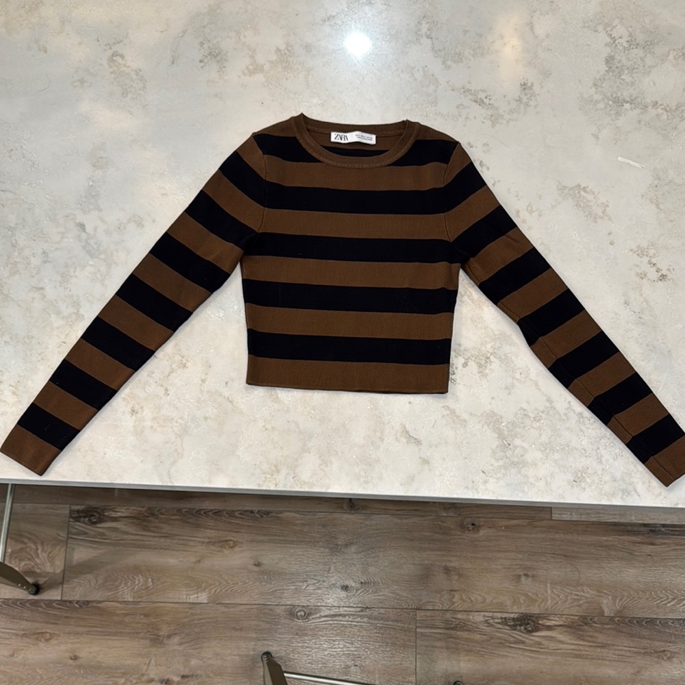 Zara Brown and Black cropped Striped Sweater